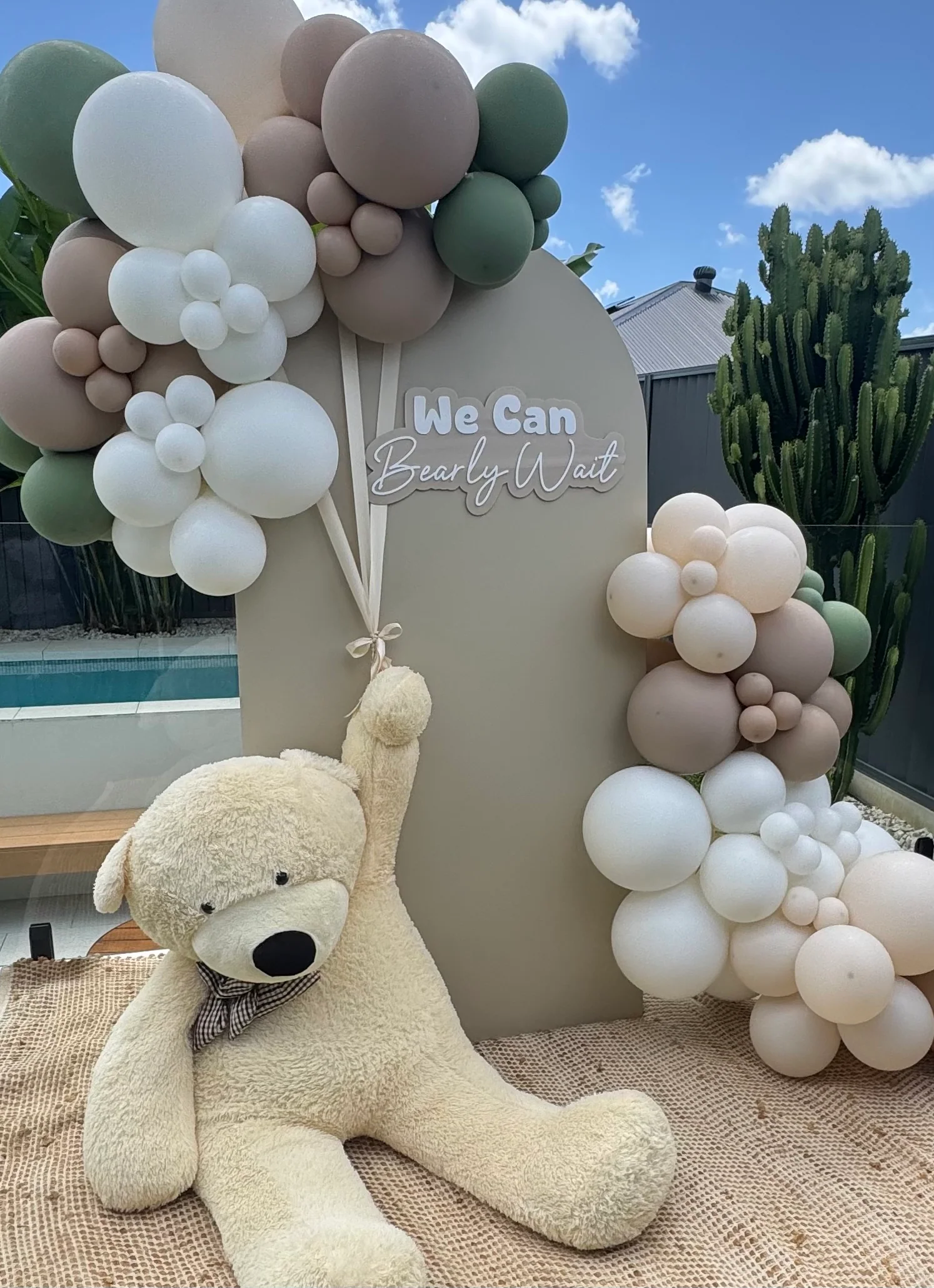 Winnie the Pooh Adventure
